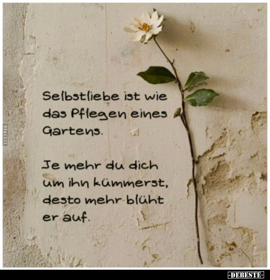 Selbstliebe ist wie das Pflegen eines Gartens... - Lustige Bilder | DEBESTE.de