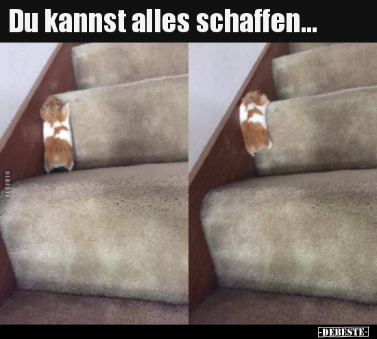 Du kannst alles schaffen...