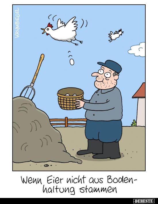 Wenn Eier nicht aus Bodenhaltung stammen.. - Lustige Bilder | DEBESTE.de