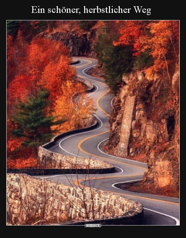 Ein schöner, herbstlicher Weg.. - Lustige Bilder | DEBESTE.de