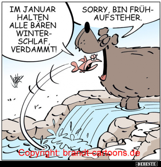 Im Januar halten alle Bären Winterschlaf, verdammt!.. - Lustige Bilder | DEBESTE.de