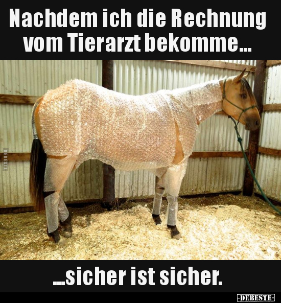 Nachdem ich die Rechnung vom Tierarzt bekomme... - Lustige Bilder | DEBESTE.de