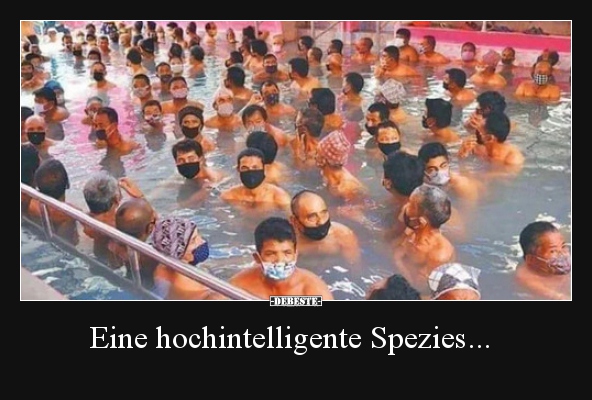 Eine hochintelligente Spezies...