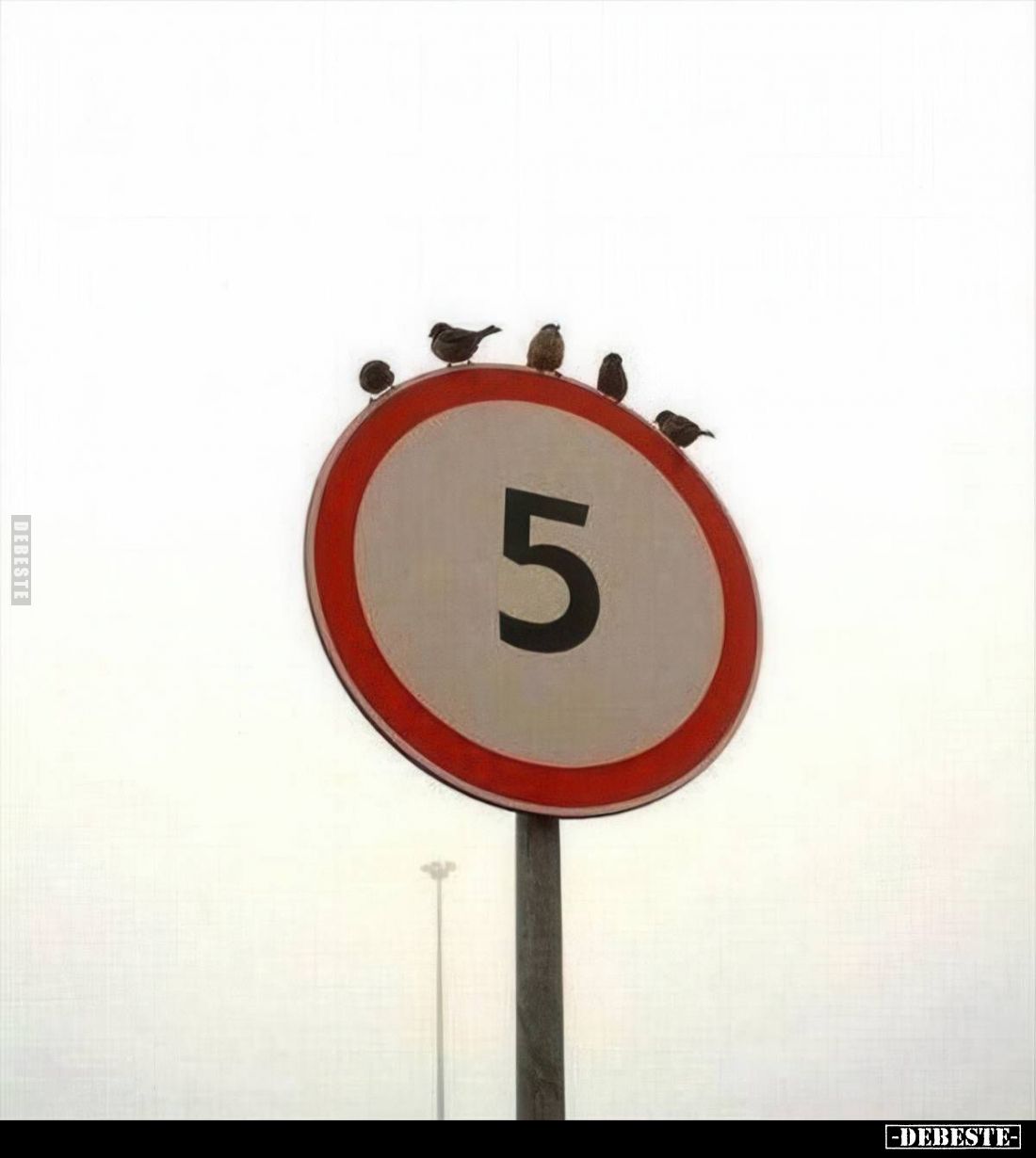 Passt