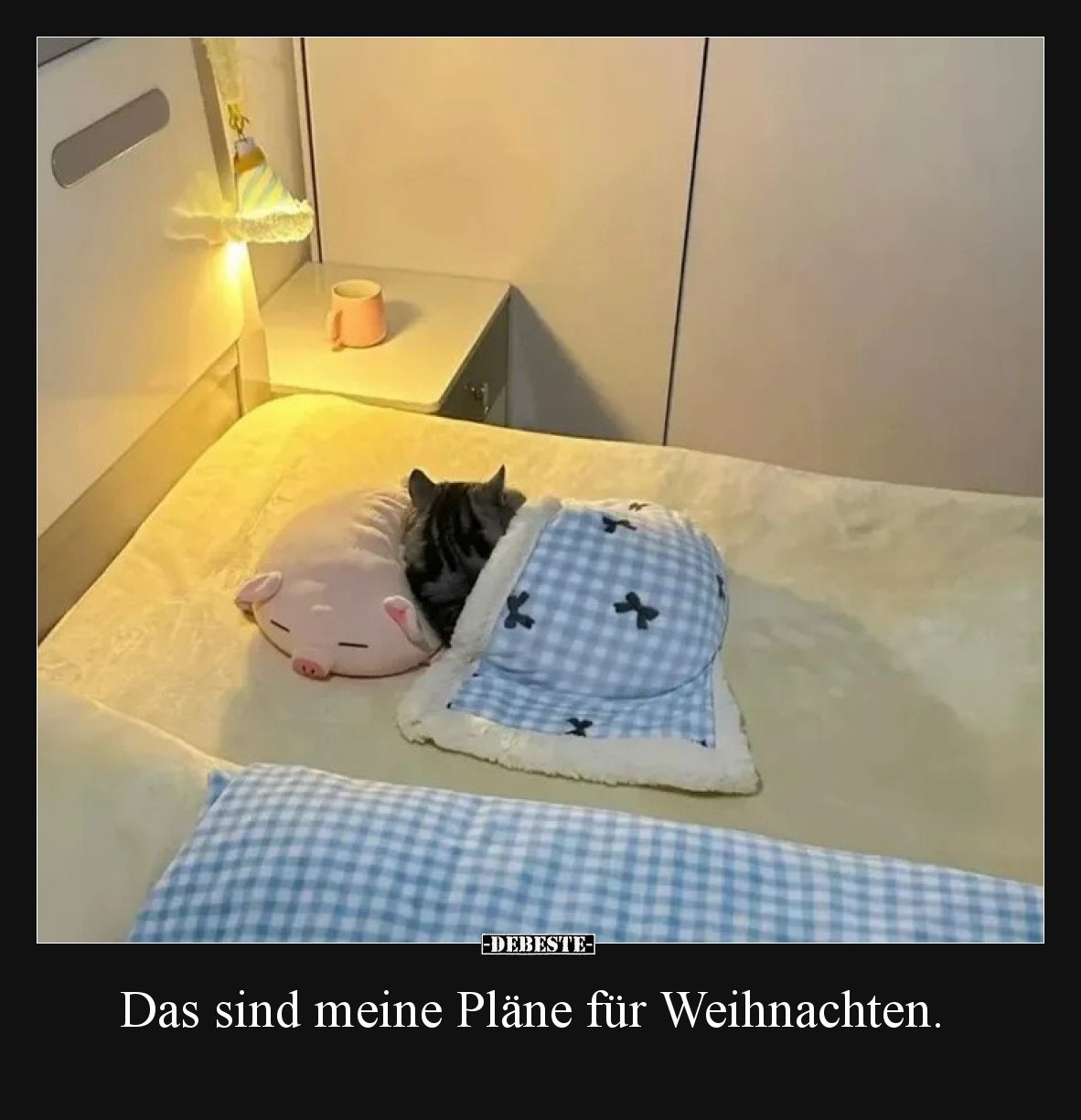 Das sind meine Pläne für Weihnachten... - Lustige Bilder | DEBESTE.de