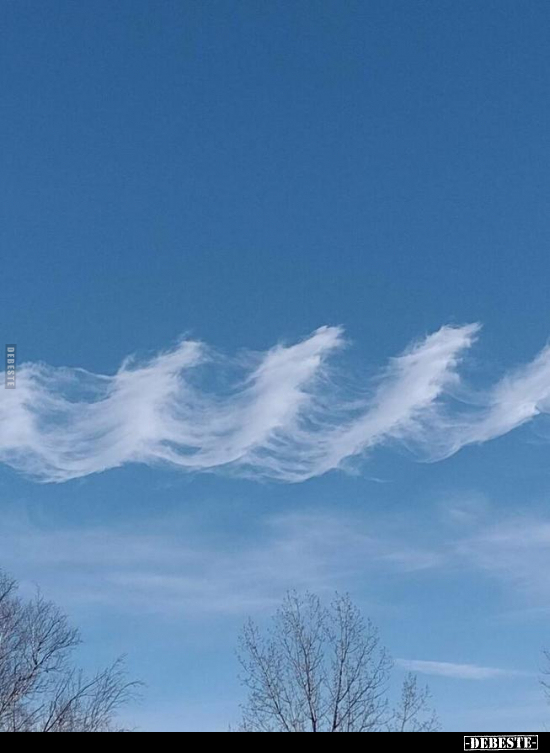  - Lustige Bilder | DEBESTE.de