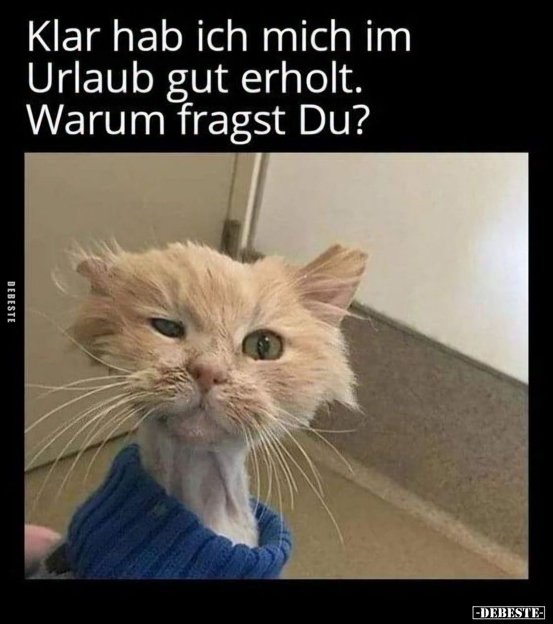 Klar hab ich mich im
Urlaub gut erholt.
Warum fragst Du?