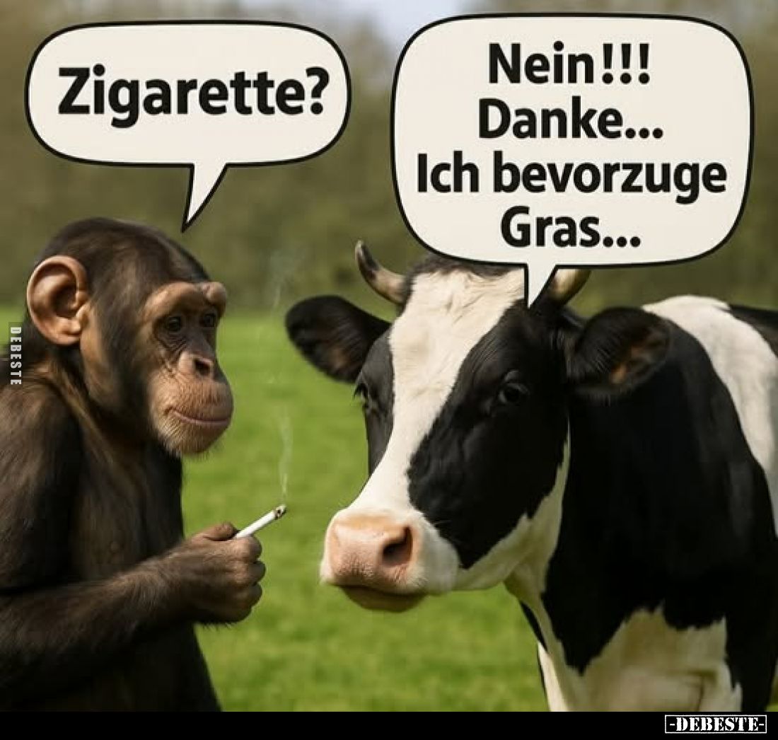 Zigarette? -
Nein!!! Danke... Ich bevorzuge Gras...