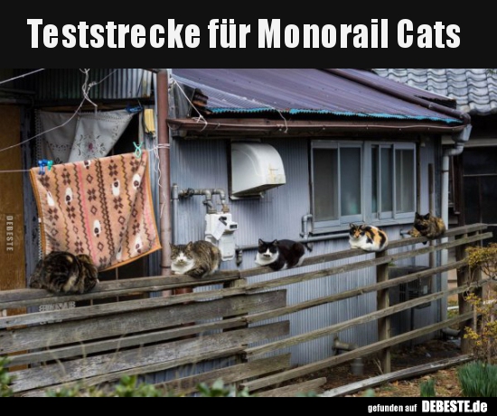 Teststrecke für Monorail Cats..
