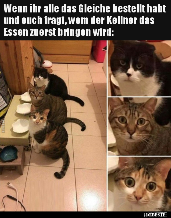 Wenn ihr alle das Gleiche bestellt habt und euch fragt, wem..