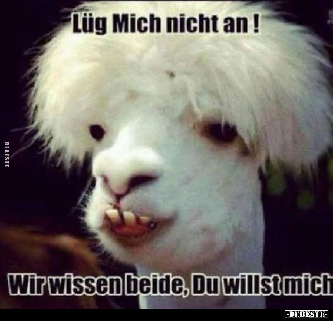 Lüg Mich nicht an!
Wir wissen beide, Du willst mich