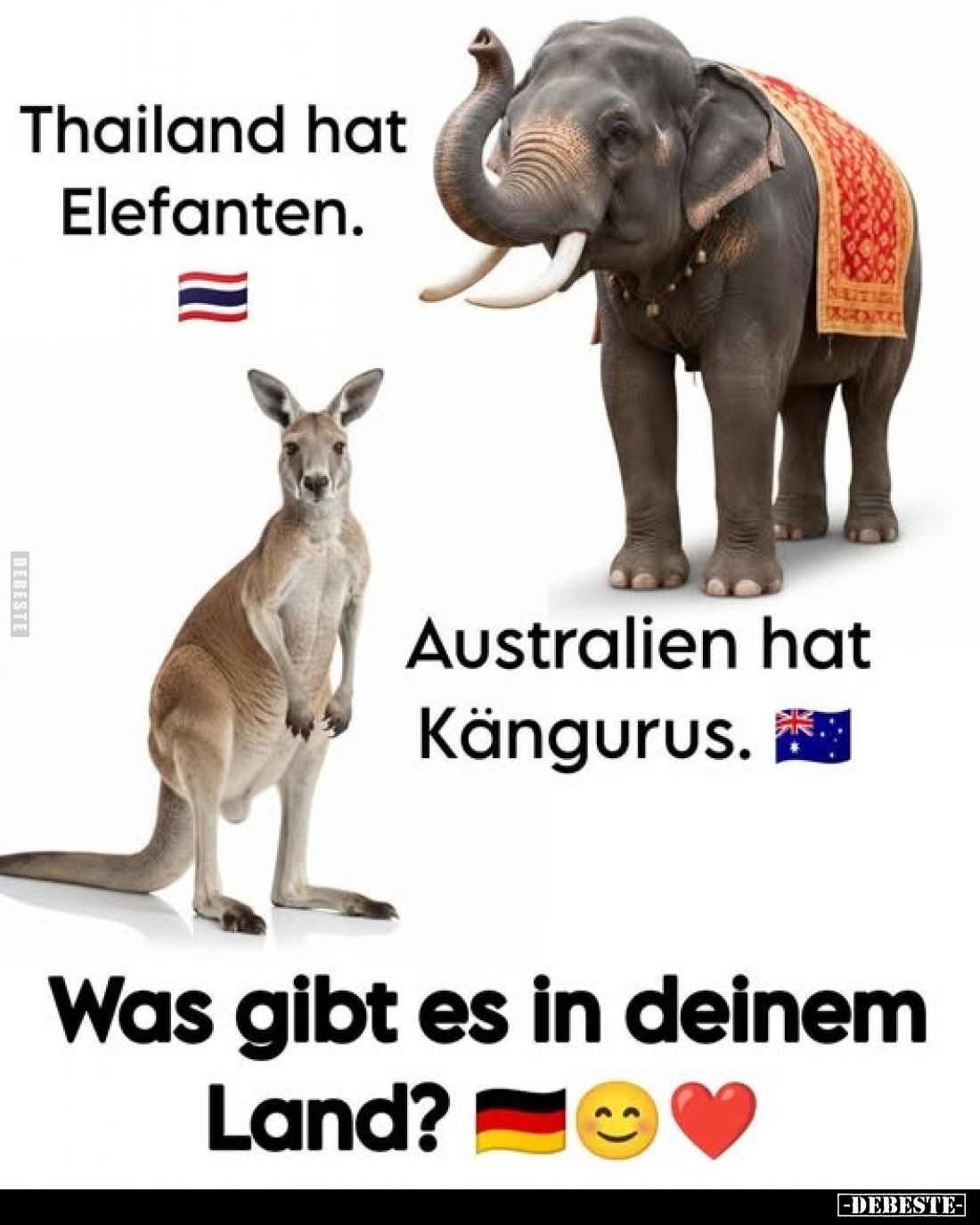 Thailand hat Elefanten. Australien hat Kängurus.. - Lustige Bilder | DEBESTE.de