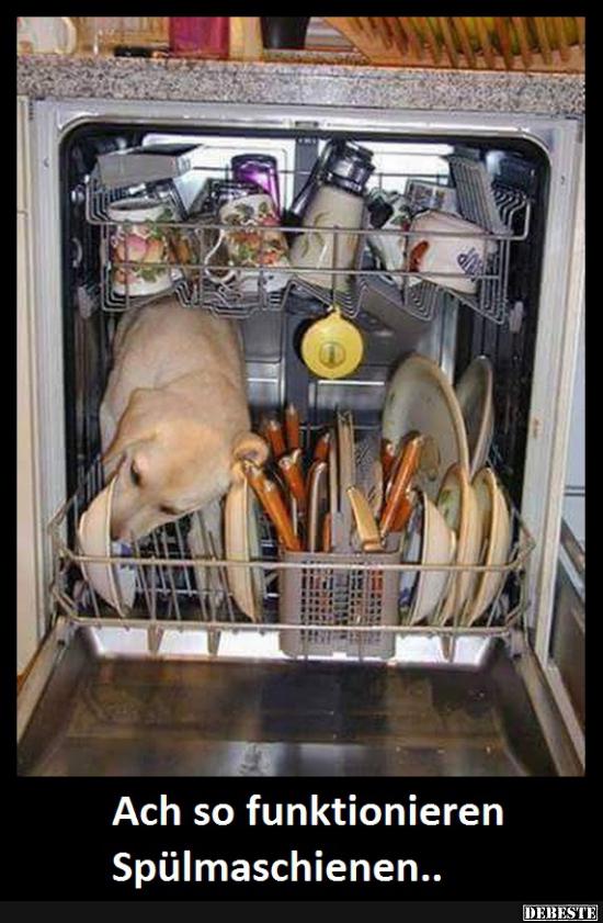 Ach so funktionieren Spülmaschienen..﻿