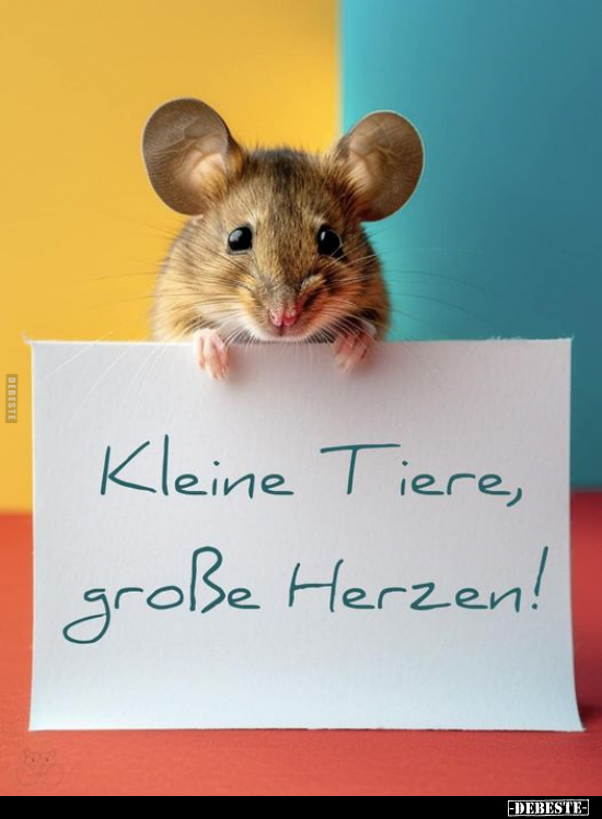 Kleine Tiere, große Herzen!.. - Lustige Bilder | DEBESTE.de