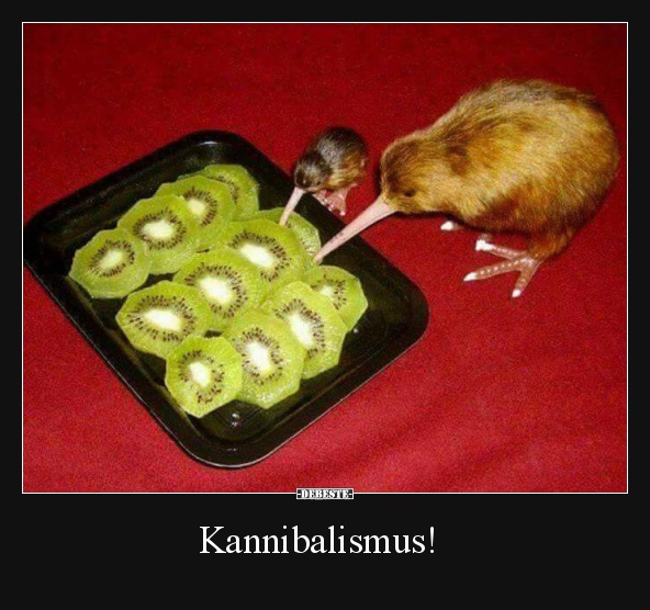 Kannibalismus! - Lustige Bilder | DEBESTE.de