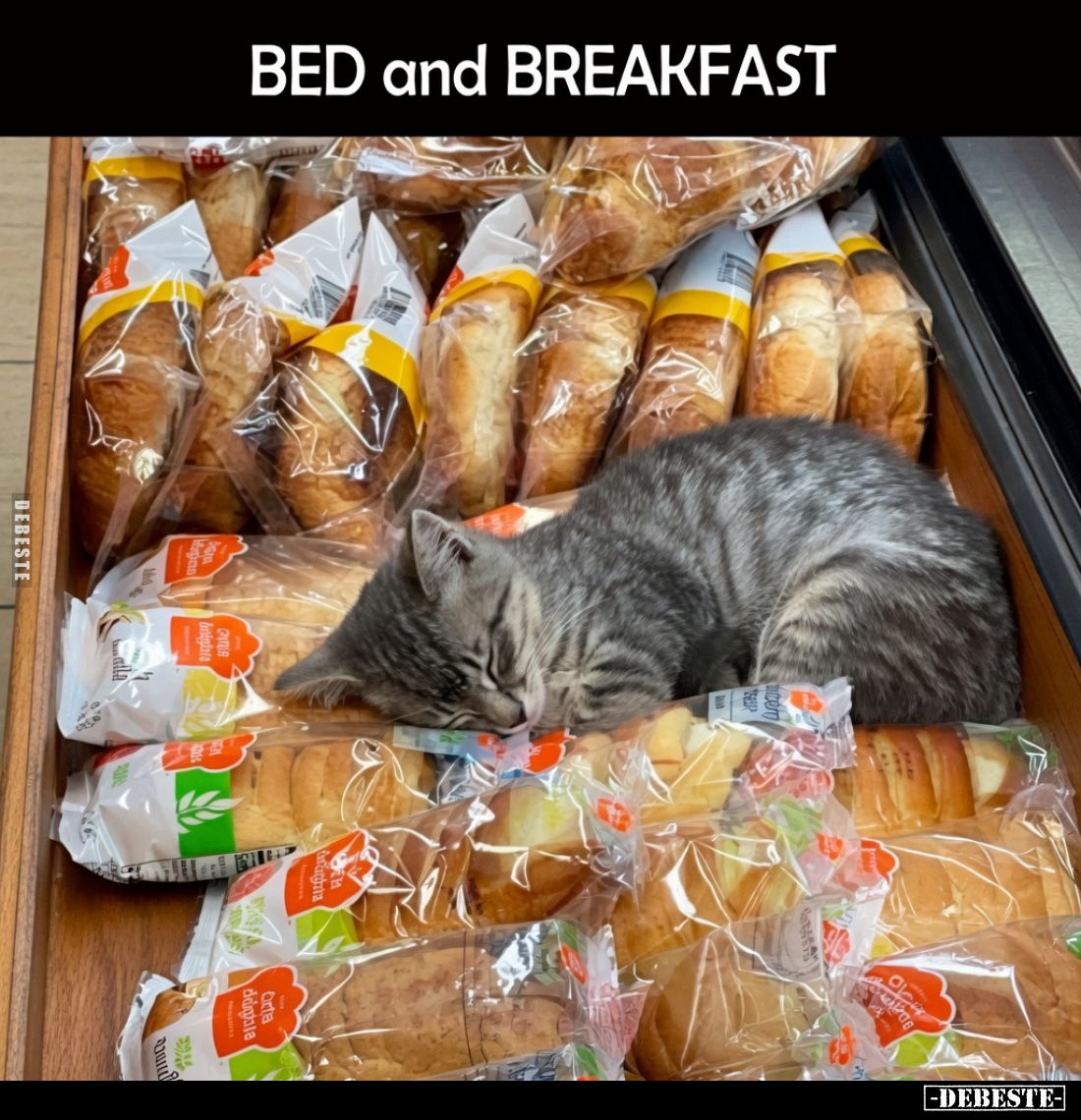 Bed and Breakfast.