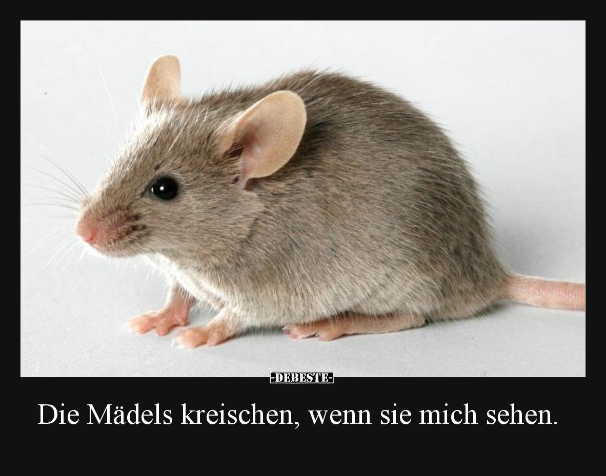 Die Mädels kreischen, wenn sie mich sehen... - Lustige Bilder | DEBESTE.de