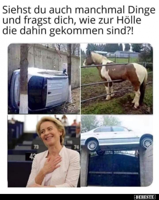 Siehst du auch manchmal Dinge und fragst dich, wie zur Hölle..