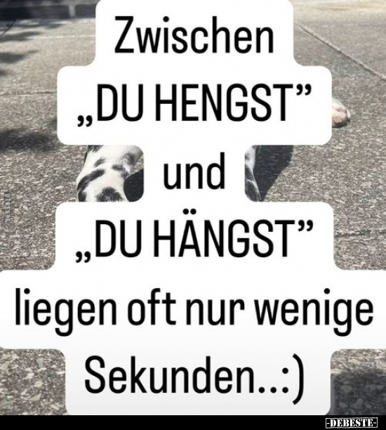 Zwischen "DU HENGST" und "DU HÄNGST".. - Lustige Bilder | DEBESTE.de