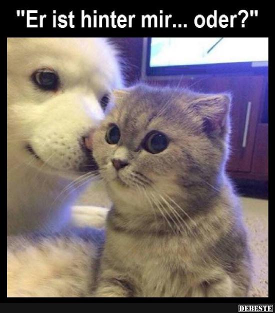 Er ist hinter mir... oder?