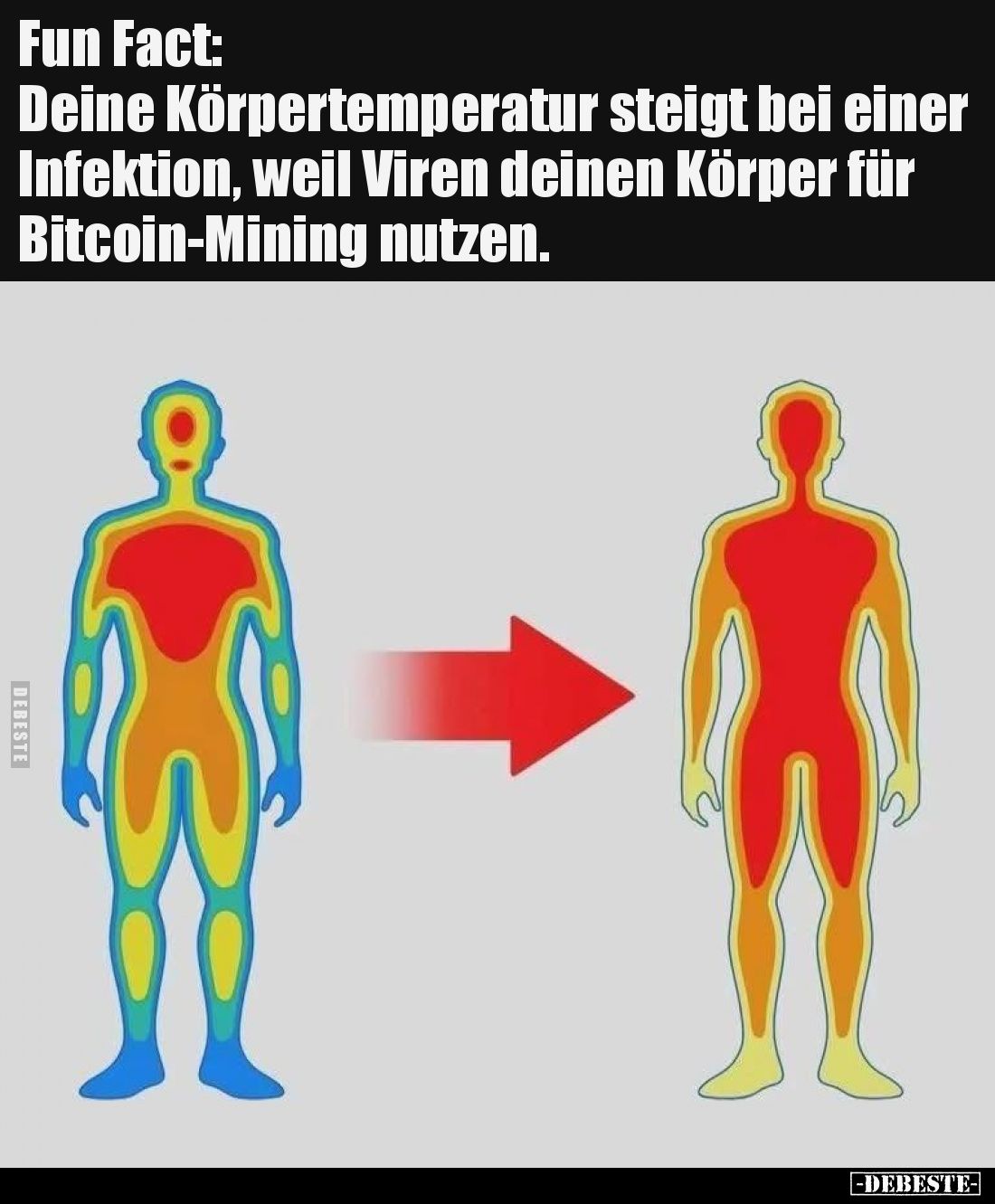 Fun Fact:
Deine Körpertemperatur steigt bei einer Infektion, weil Viren deinen Körper für 
Bitcoin-Mining nutzen.