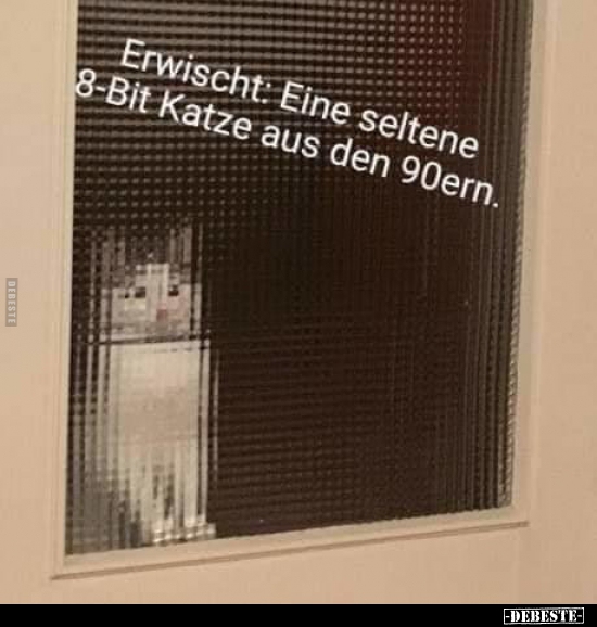 Erwischt: Eine seltene 8-Bit Katze aus den 90ern. - Lustige Bilder | DEBESTE.de