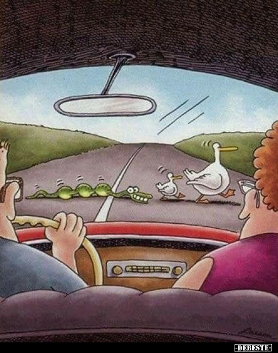  - Lustige Bilder | DEBESTE.de