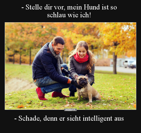 - Stelle dir vor, mein Hund ist so schlau wie ich!.. - Lustige Bilder | DEBESTE.de