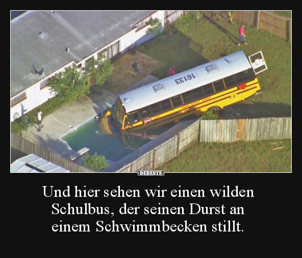 Und hier sehen wir einen wilden Schulbus, der seinen Durst.. - Lustige Bilder | DEBESTE.de
