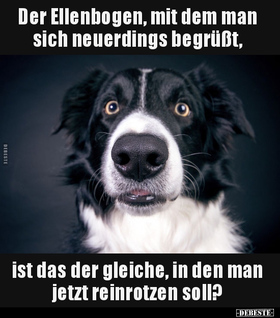 Der Ellenbogen, mit dem man sich neuerdings begrüßt, ist..