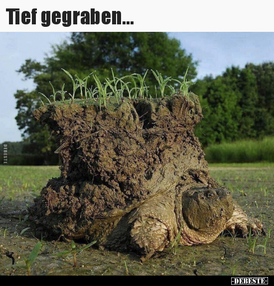 Tief gegraben... - Lustige Bilder | DEBESTE.de