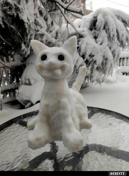 Katzen, Schneemann, Schnee, Wiinter