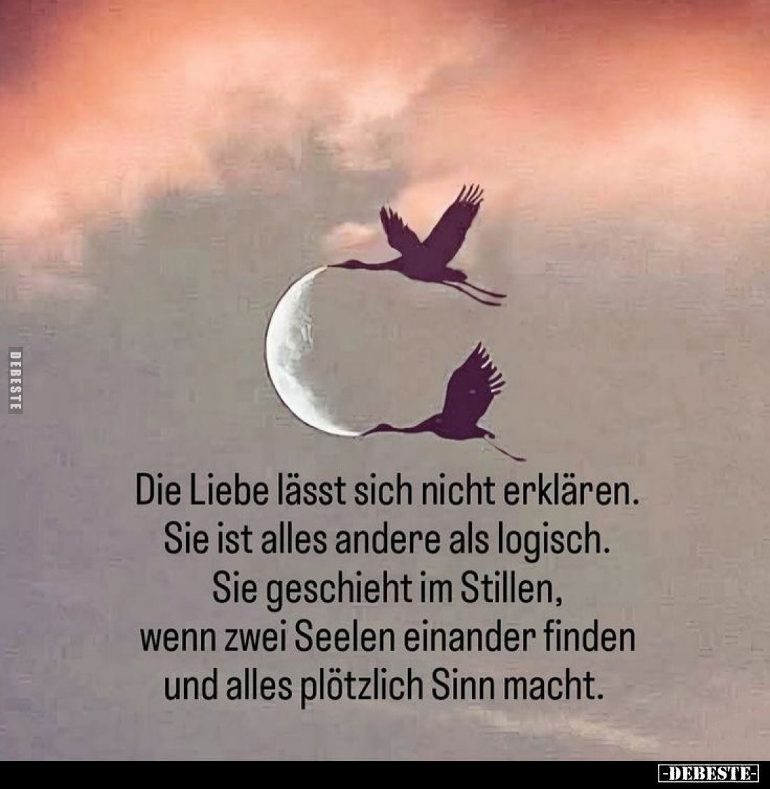 Die Liebe lässt sich nicht erklären.
Sie ist alles andere als logisch.
Sie geschieht im Stillen, wenn zwei Seelen einander ...