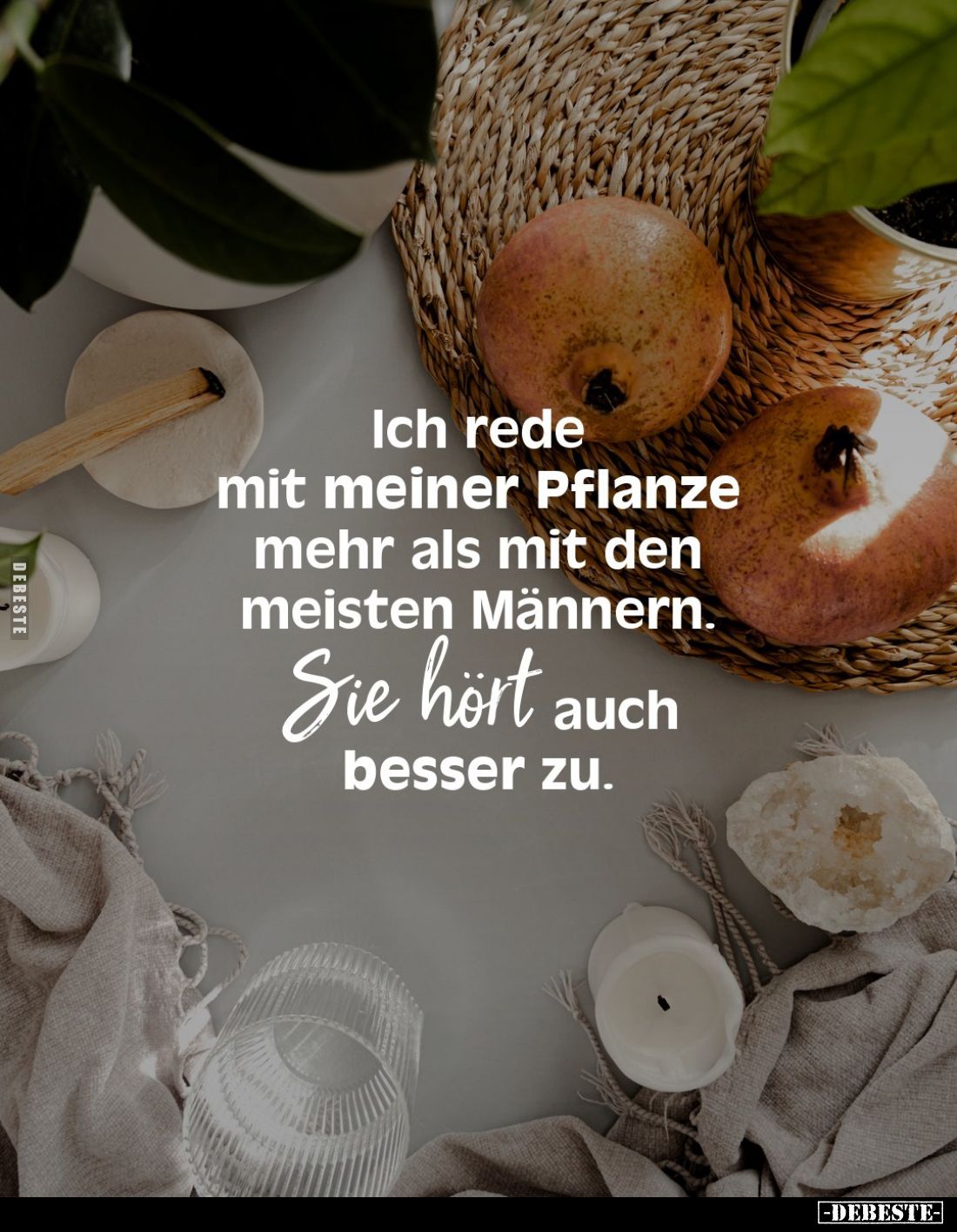 Ich rede mit meiner Pflanze mehr als mit den meisten Männern. 
 Sie hört auch besser zu.