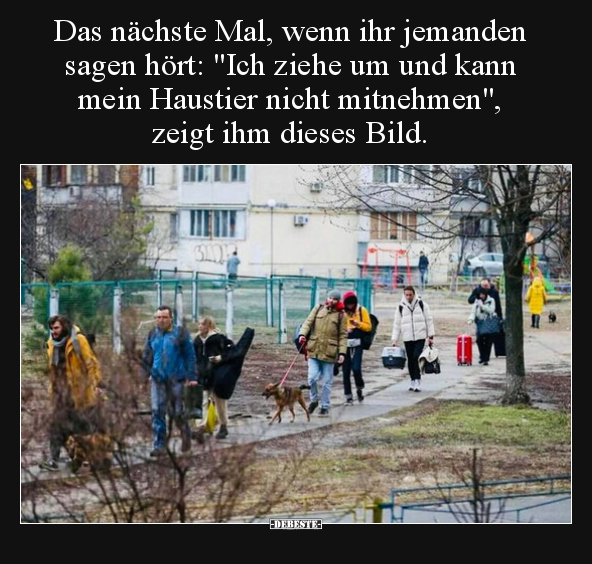 Das nächste Mal, wenn ihr jemanden sagen hört: "Ich ziehe.." - Lustige Bilder | DEBESTE.de