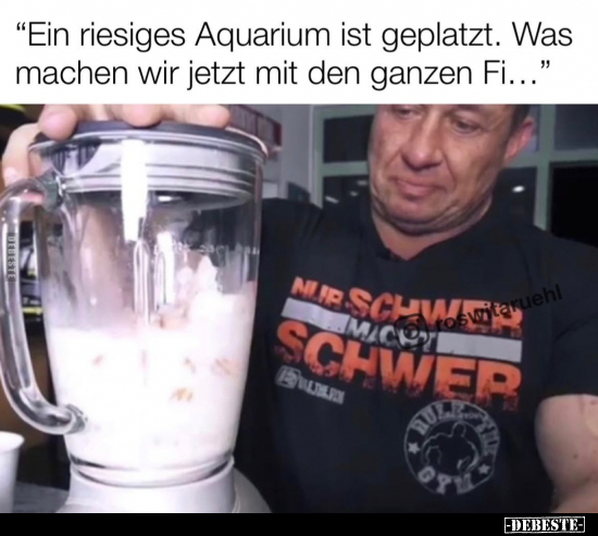 "Ein riesiges Aquarium ist geplatzt. Was machen wir jetzt.." - Lustige Bilder | DEBESTE.de