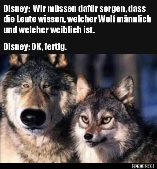 Disney: Wir müssen dafür sorgen, dass die Leute wissen.. - Lustige Bilder | DEBESTE.de