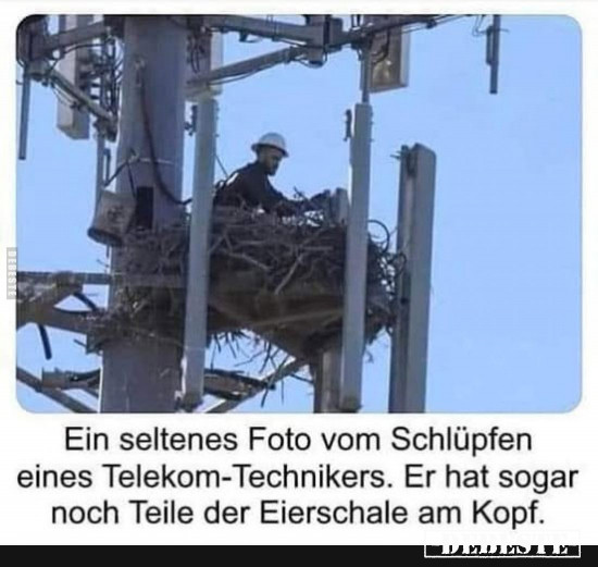  - Lustige Bilder | DEBESTE.de