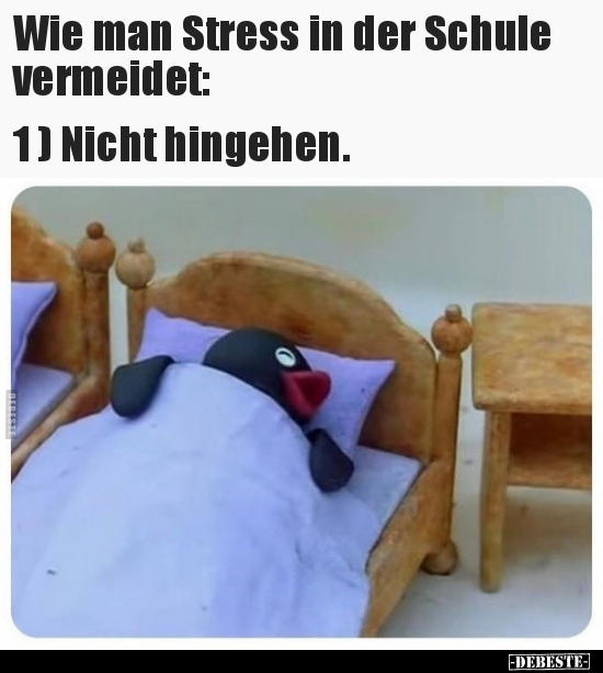 Wie man Stress in der Schule vermeidet: 1) Nicht hingehen.