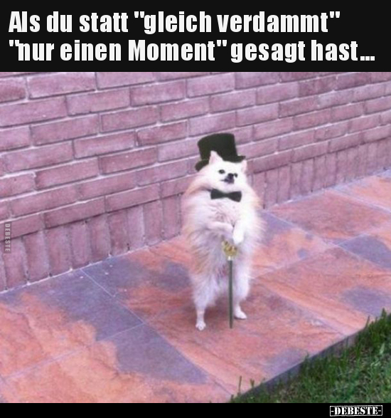 Als du statt "gleich verdammt" "nur einen Moment" gesagt.. - Lustige Bilder | DEBESTE.de