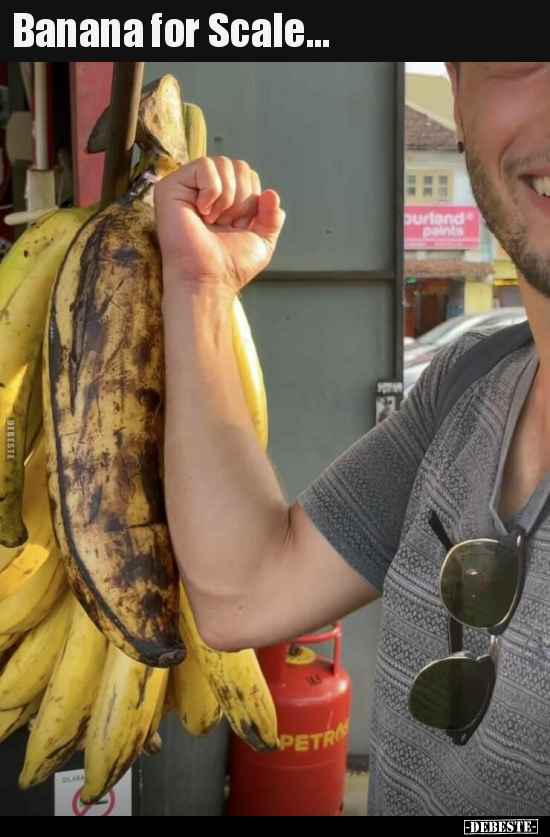 Banana for Scale...