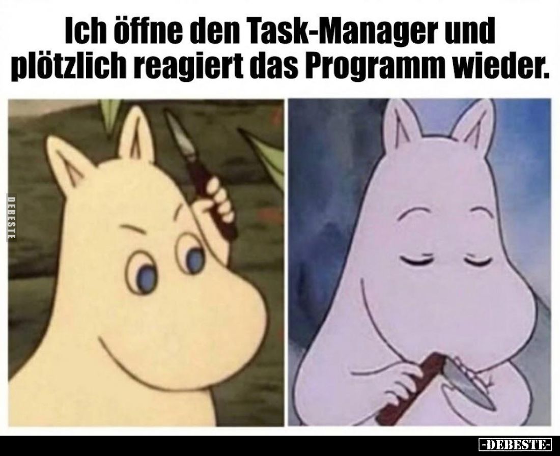 Ich öffne den Task-Manager und plötzlich reagiert das Programm wieder.