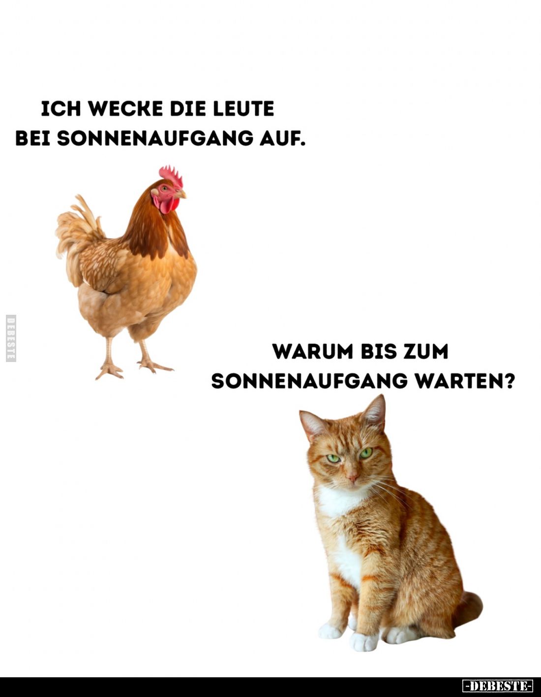 Ich wecke die Leute bei Sonnenaufgang auf.
-
Warum bis zum Sonnenaufgang warten?