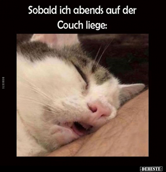 Sobald ich abends auf der Couch liege.. - Lustige Bilder | DEBESTE.de