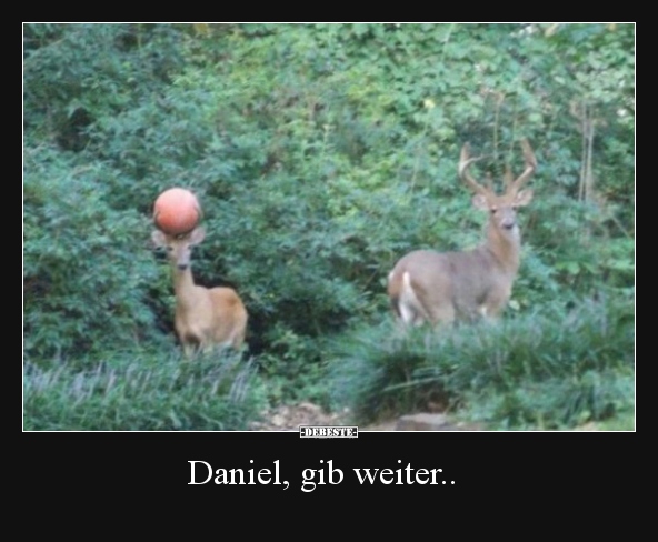 Daniel, gib weiter..