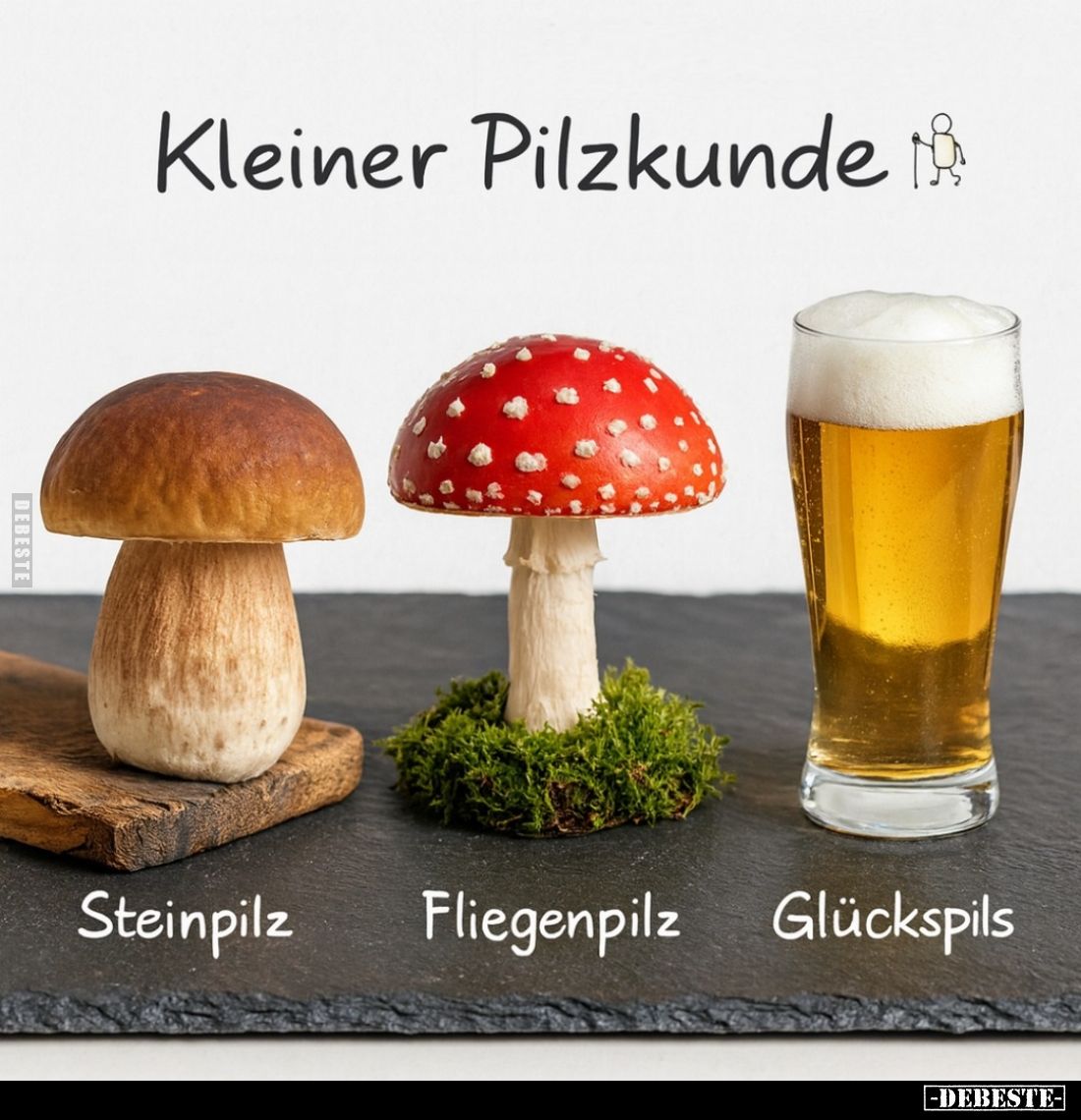Kleiner Pilzkunde
- 
Steinpilz 
- 
Fliegenpilz
- 
Glückspils