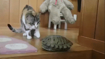 Hallo ist jemand zu Hause?