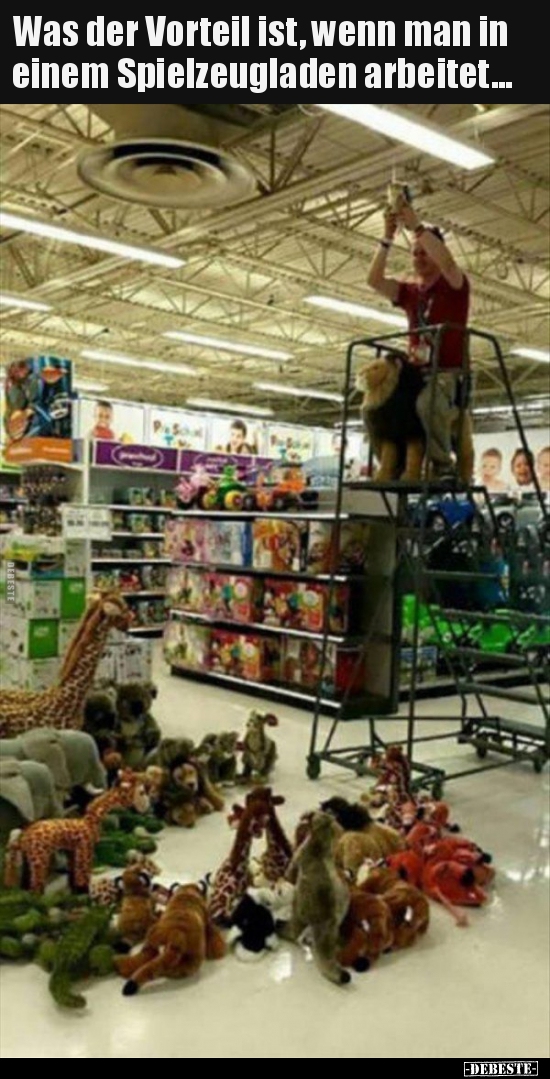 Was der Vorteil ist, wenn man in einem Spielzeugladen..