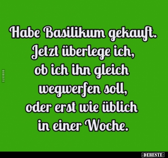 Habe Basilikum gekauft. Jetzt überlege ich, ob ich ihn..