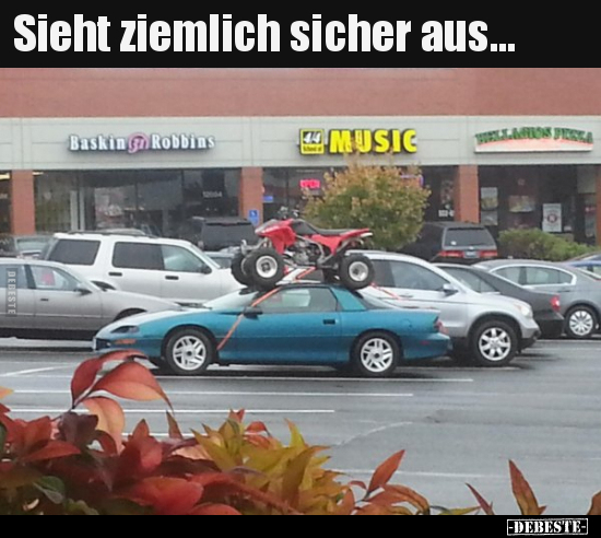 Sieht ziemlich sicher aus...